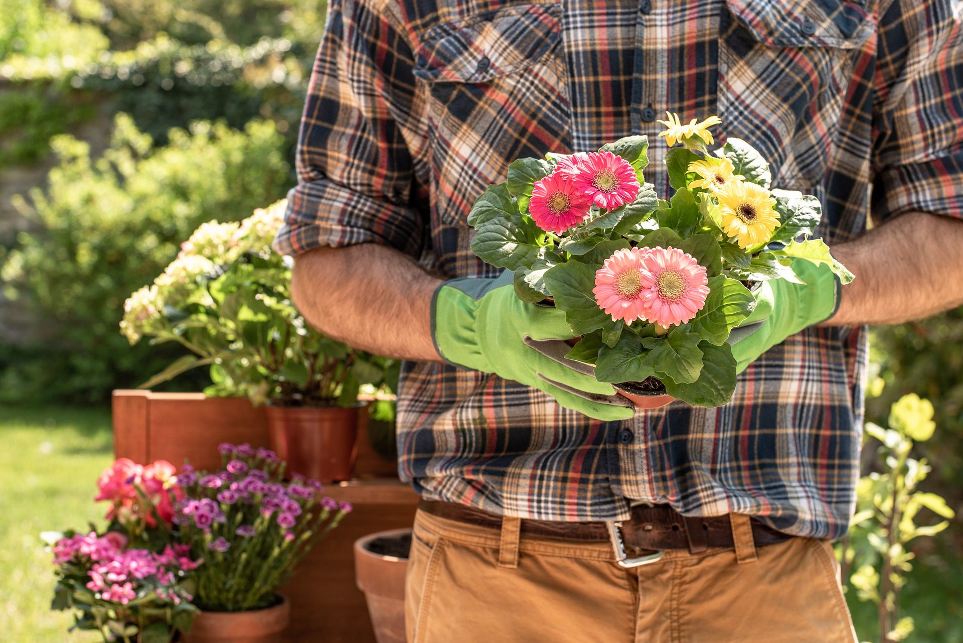 gardener holding flowers