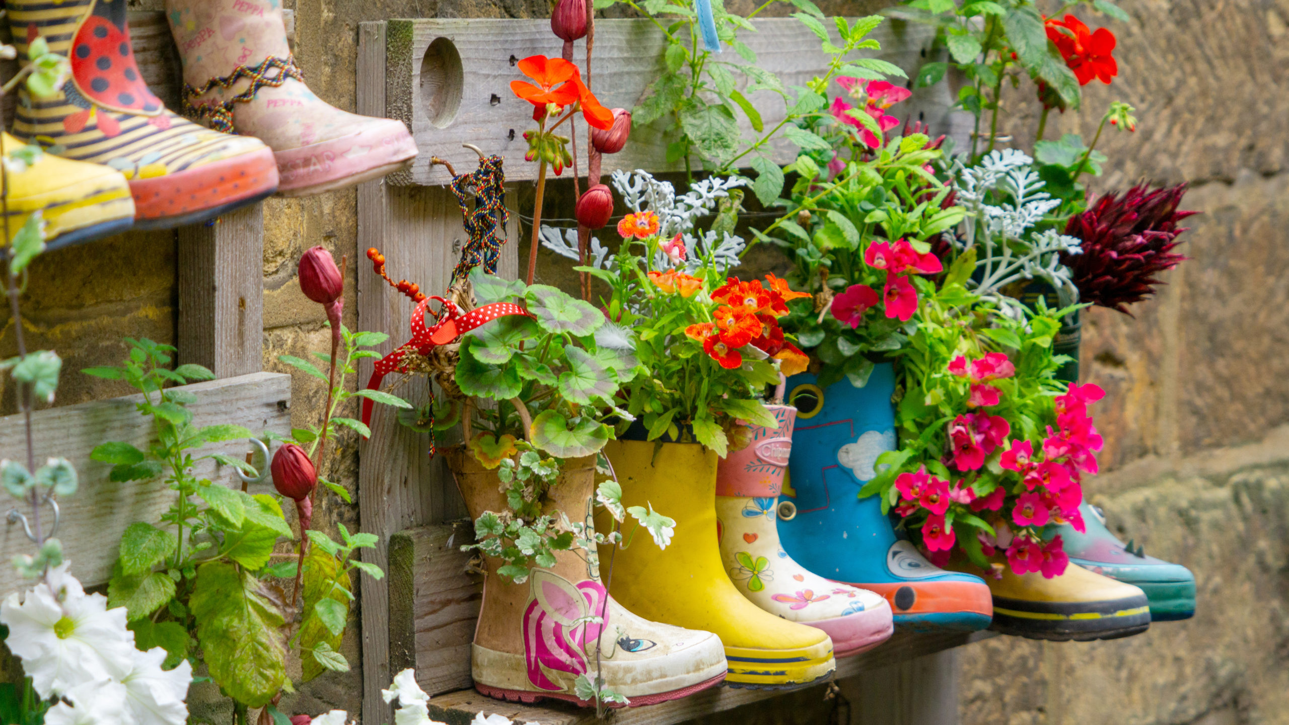 Welly planters hung up on a fence