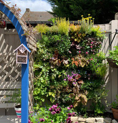 plants on a wall planter next to a trellis arch