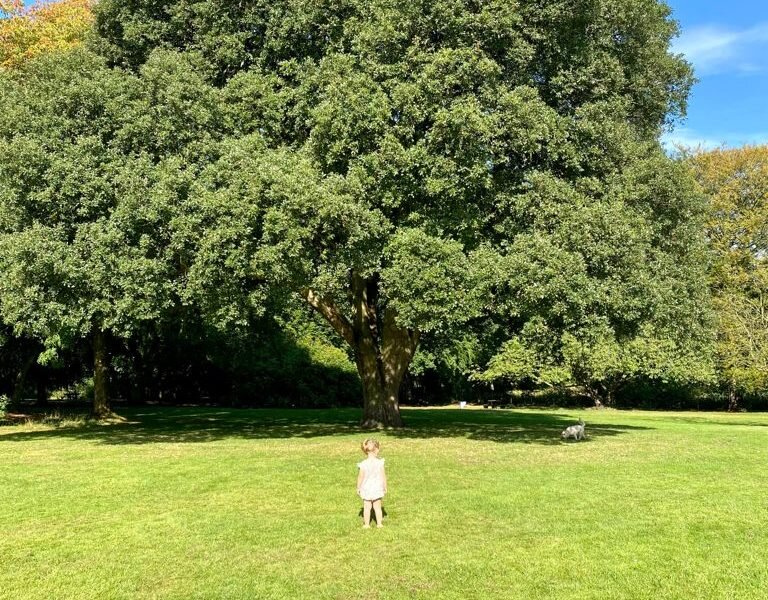 A young girl stood in front of a large tree