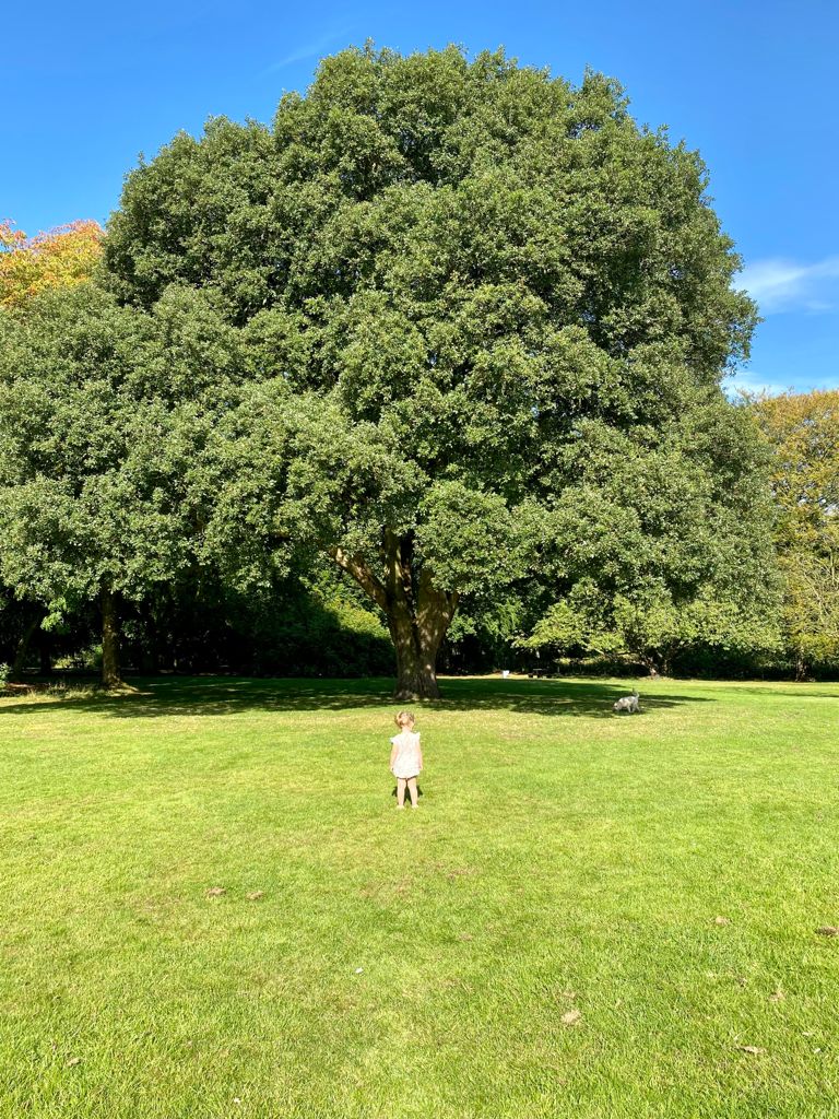 A young girl stood in front of a large tree