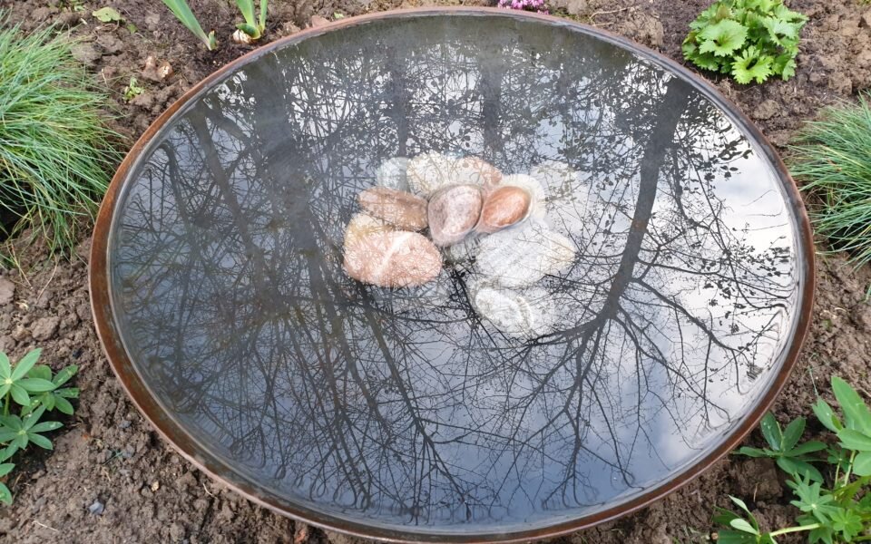 BBQ pond, Lorna's garden