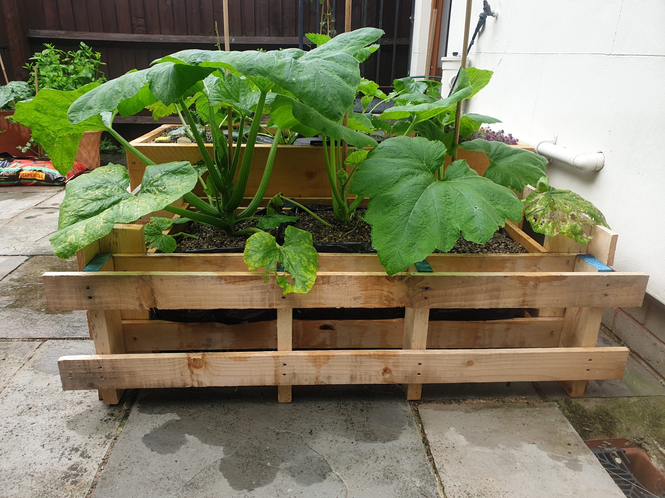 pallet planter, Lorna's garden