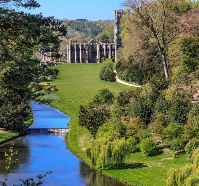 Yorkshire countrysire