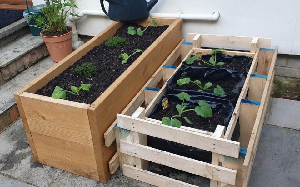 Raised beds, Lorna's garden