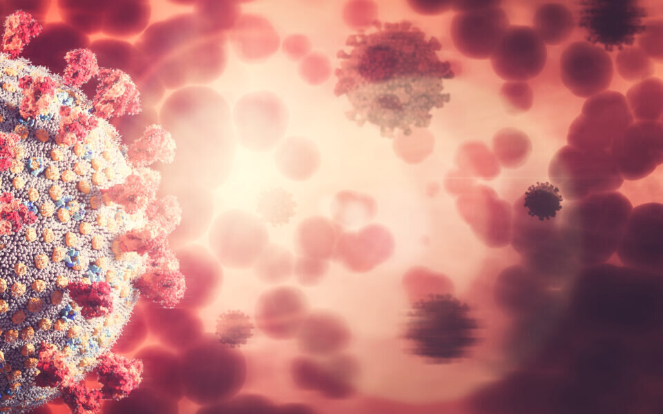 Coronavirus
